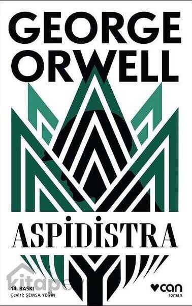 Aspidistra - 1