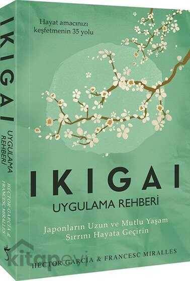 Ikigai Uygulama Rehberi - 1