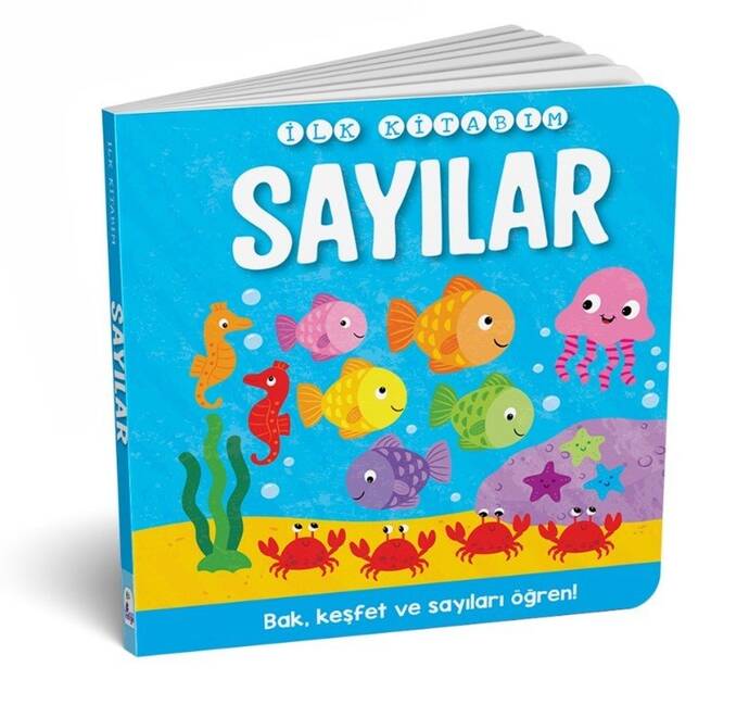 İlk Kitabım - Sayılar - 1