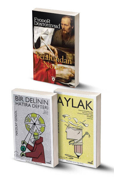 3 Kitap / Yeraltından Notlar - Bir Delinin Hatıra Defteri - Aylak - 1
